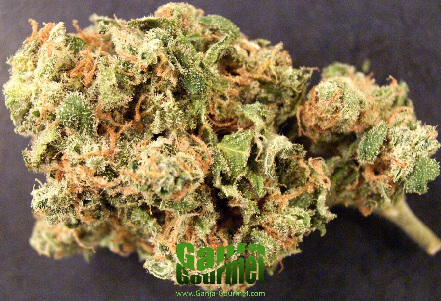 GanjaGourmetBanana01id