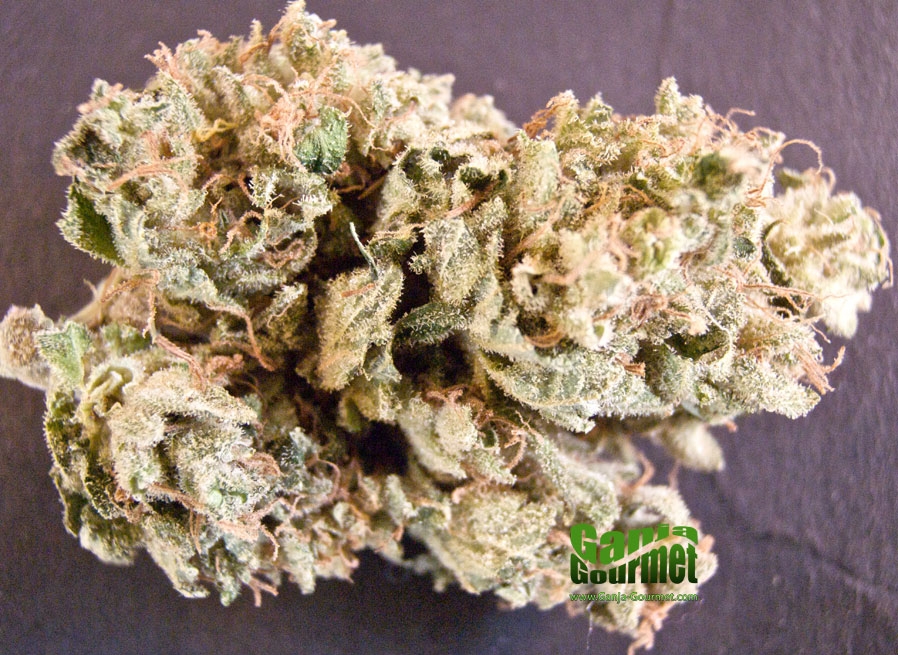 GanjaGourmetBubbaFunk01id