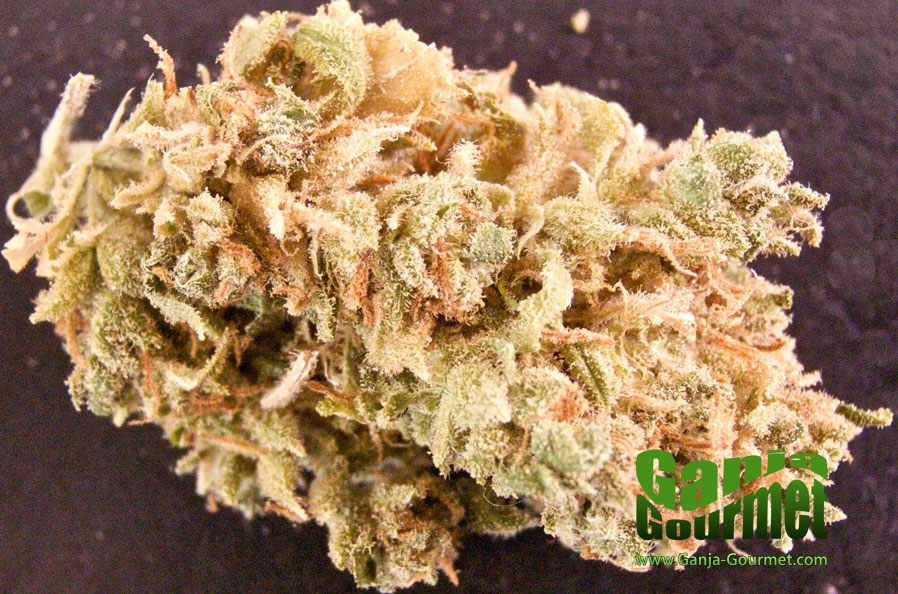 GanjaGourmetBubbleBerry01id