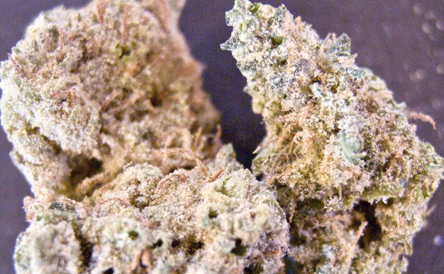 GanjaGourmetCherryBombInfusedBud01id