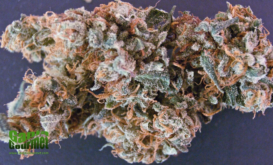 GanjaGourmetCrystalChunk01id