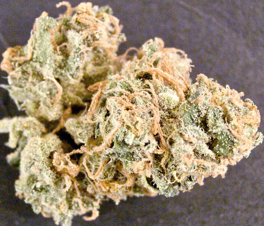 GanjaGourmetDirtyGirl02id