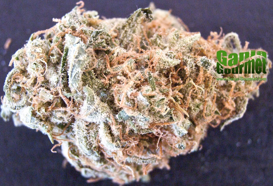 GanjaGourmetDQ01idcopy