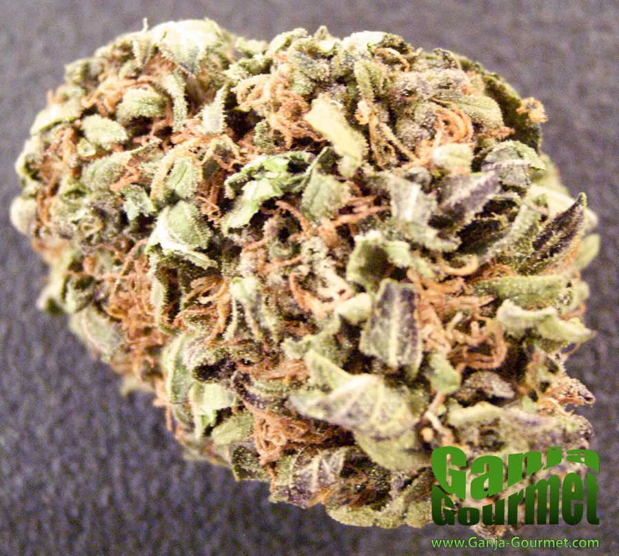 GanjaGourmetPineapple01id