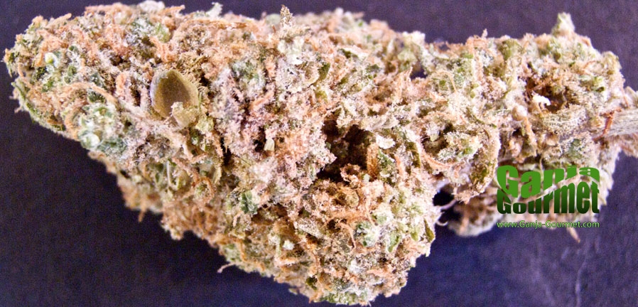 GanjaGourmetRoyalFlushid01