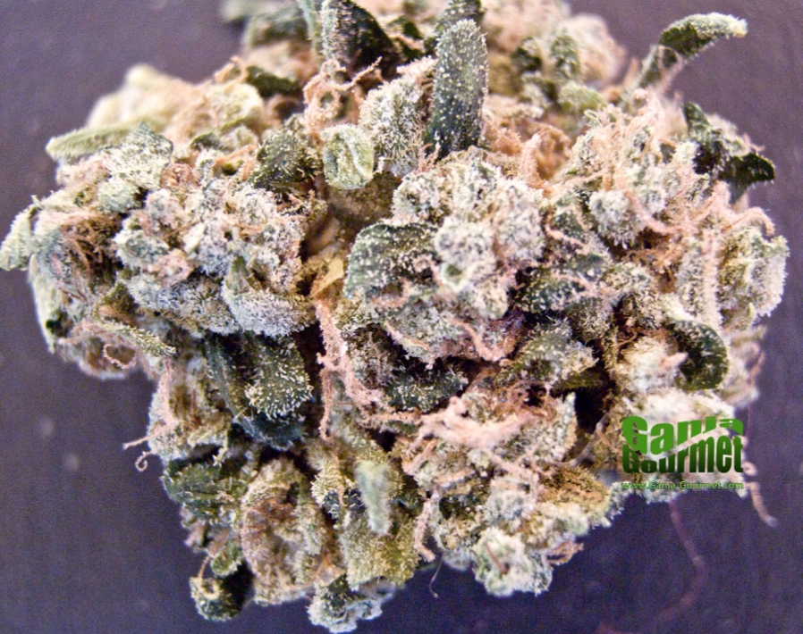 GanjaGourmetSourBlue01id