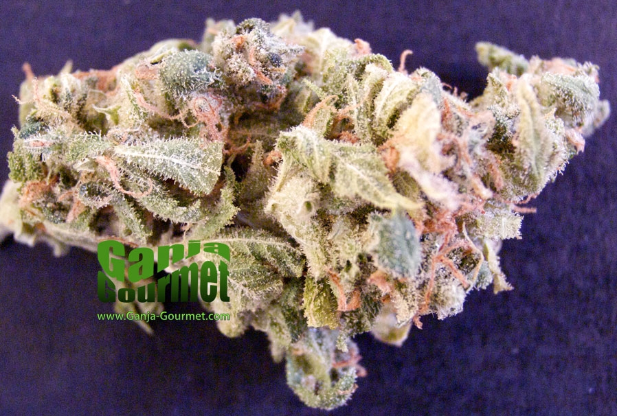 GanjaGourmetStrawberry01id