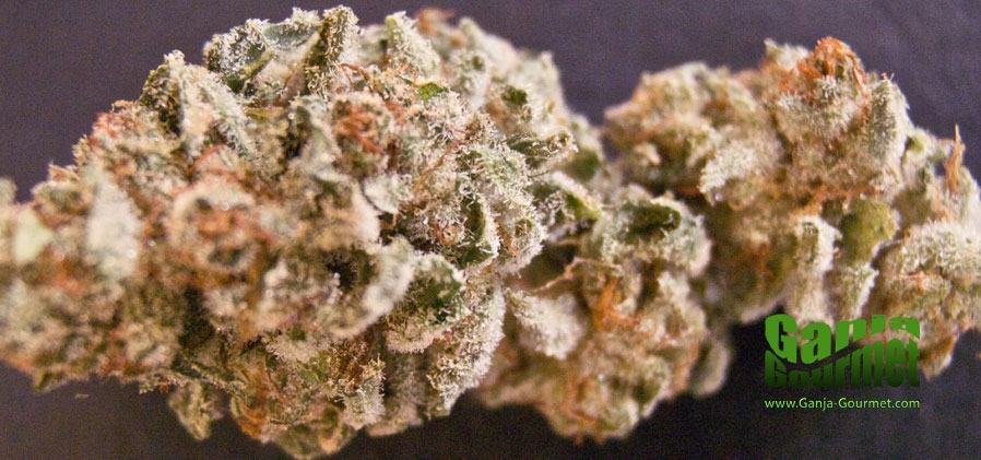 GanjaGourmetSuperGirl01id