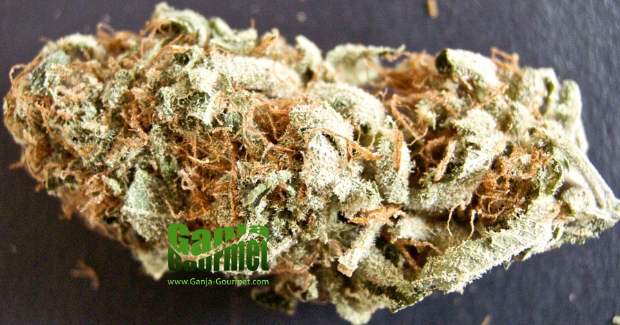 GanjaGourmetLAConfidential01id