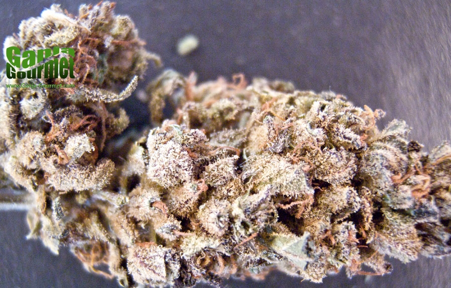 GanjaGourmetMaroonBells01id