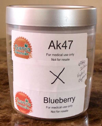 GanjaGourmetAK47XBlueberryjar