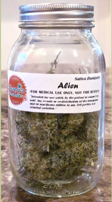 GanjaGourmetAlienjar