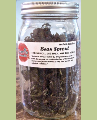 GanjaGourmetBeanSproutjar
