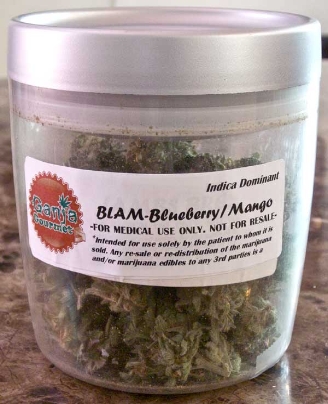 GanjaGourmetBLAMBlueberryXMangojar