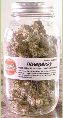 GanjaGourmetBlueberryjar4