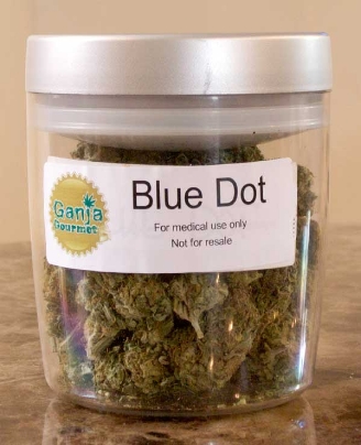 GanjaGourmetBlueDotjar2