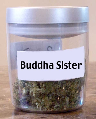 GanjaGourmetBuddhaSisterjar