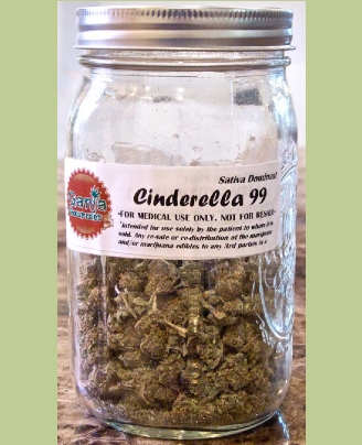 GanjaGourmetCinderella99jar