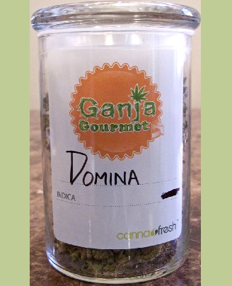 GanjaGourmetDominanewjar01
