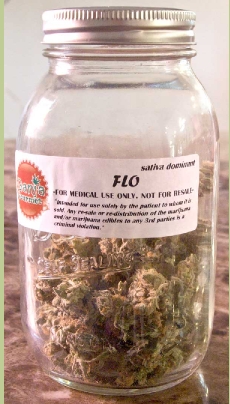 GanjaGourmetFlojar2
