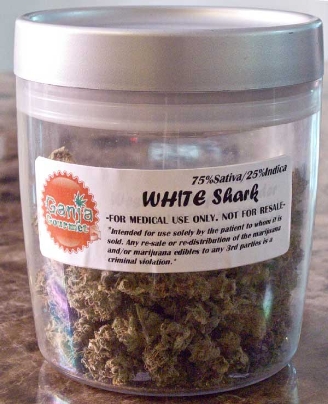 GanjaGourmetGreatWhiteSharkjar