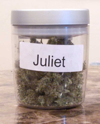 GanjaGourmetJulietjar1