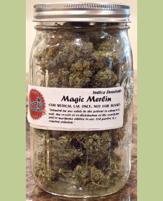 GanjaGourmetMagicMerlinjar