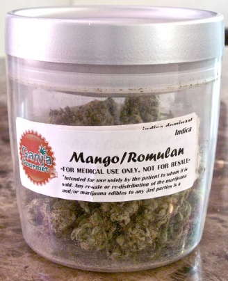 GanjaGourmetMangoXRomulanjar