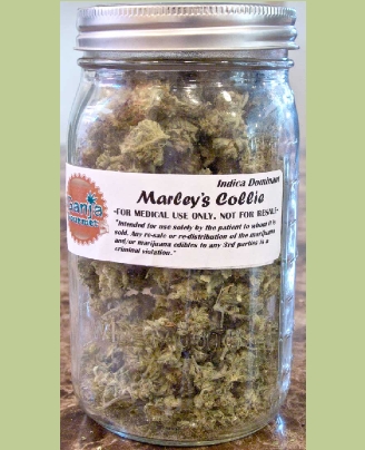 GanjaGourmetMarleyColliejar