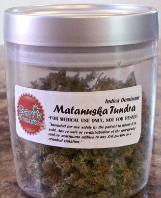 GanjaGourmetMatanuskaTundrajar2