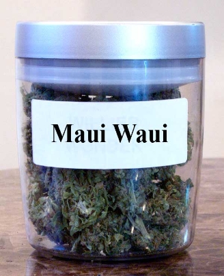 GanjaGourmetMauiWauiJar