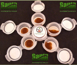 GanjaGourmetOrganaLabsBlondeHashOil01id