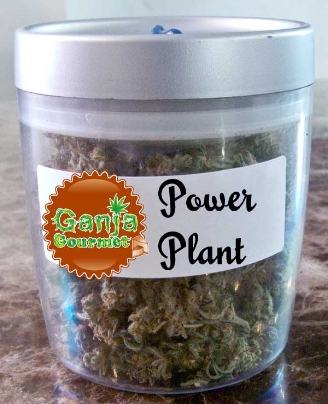 GanjaGourmetPowerPlantjar