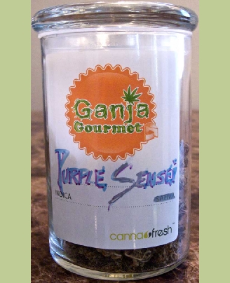 GanjaGourmetPurpleSensinewjar01