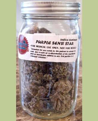 GanjaGourmetPurpleSensiStarjar01