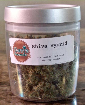 GanjaGourmetShivaHybridjar