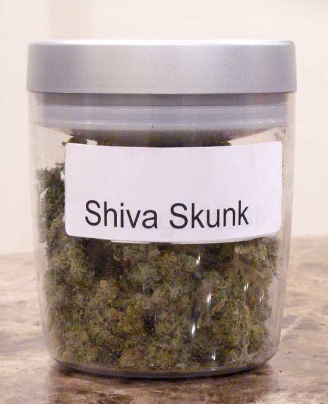 GanjaGourmetShivaSkunkjar